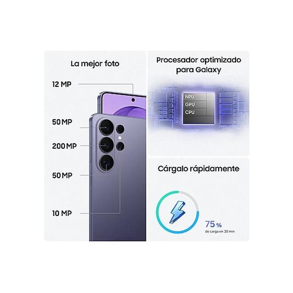 ASSET_MMS_176428726